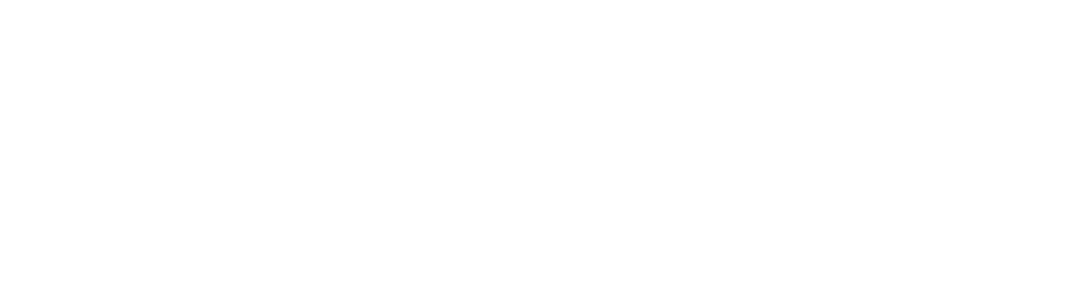 Regulacion-Blanco